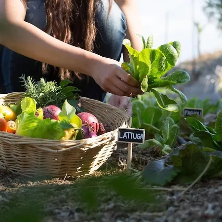 Casale Di Caterina Séjour à la campagne *